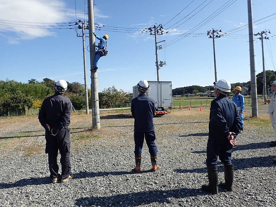 電柱に昇る訓練を行う電気工事士育成講習の様子