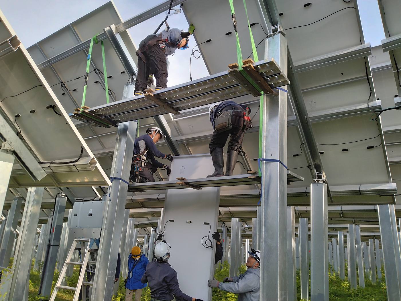 太陽光発電所の架台上でパネルを交換する複数の作業員
